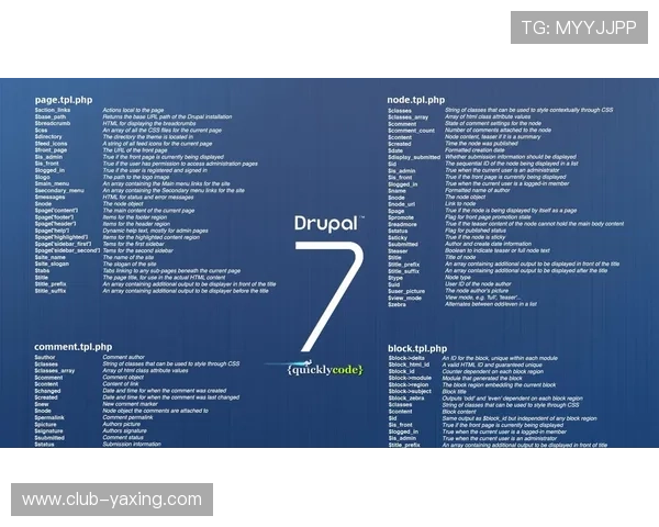 亚星平台手机登录失败怎么办，详细解决方案与操作技巧