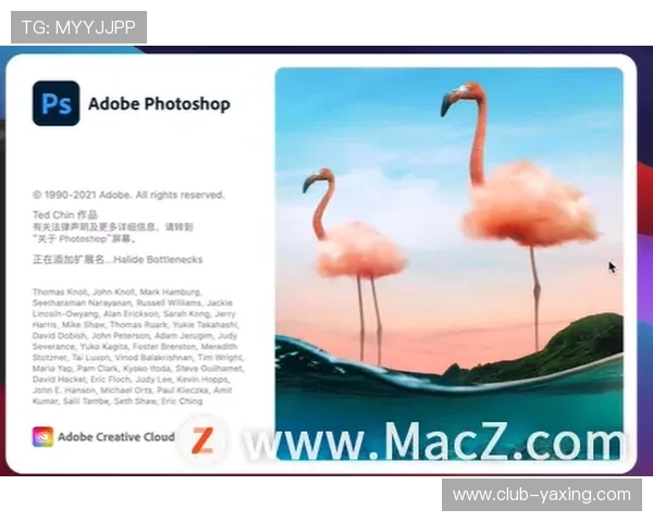 亚星手机版官网登录入口登录界面优化及用户使用体验提升措施
