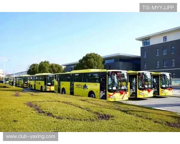 亚星正网入口2024年最新版本，提供便捷快速的登录通道